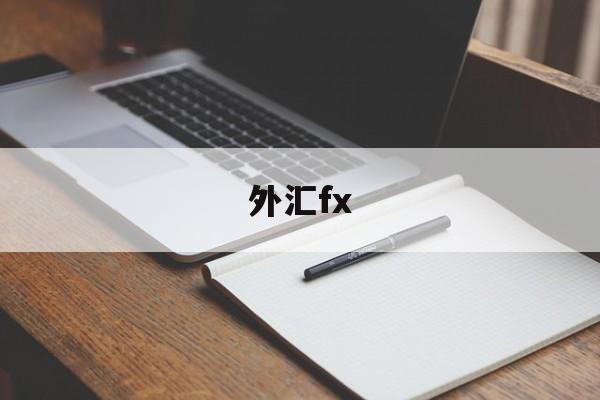 外汇fx(外汇FX平台)